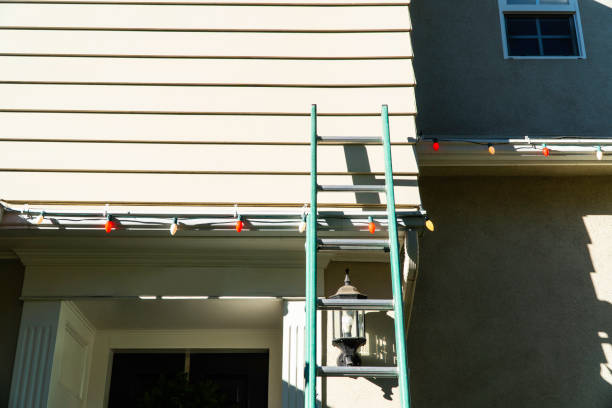 Best Custom Trim and Detailing for Siding  in Fargo, ND