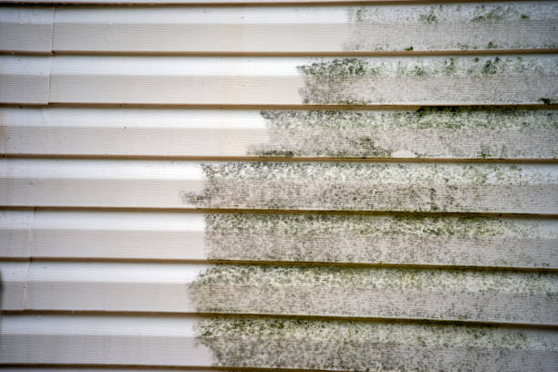 Best Siding Removal and Disposal  in Fargo, ND