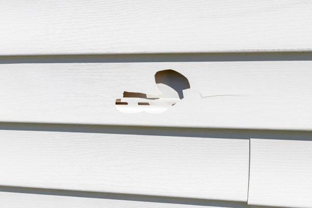 Best Aluminum Siding Installation  in Fargo, ND