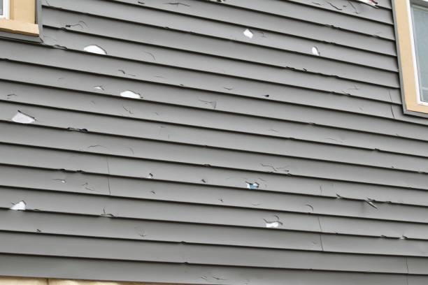 Best Brick Veneer Siding  in Fargo, ND