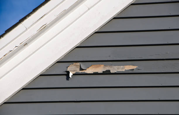 Best Wood Siding Installation  in Fargo, ND